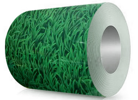 小草彩涂卷 現貨庫存